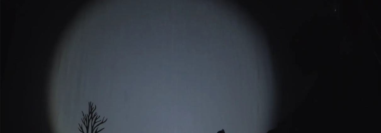 Main formant un grand-père en ombre chinoise – extrait d’un spectacle d’ombres personnalisable et artistique